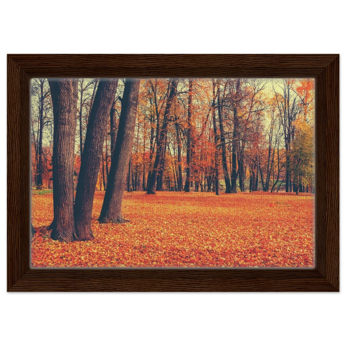 “Golden Silence in Autumn – A Tranquil Forest Escape” | Wall Art Print - Framed Canvas - 20x30 cm / 8x12″ - Dark wood frame