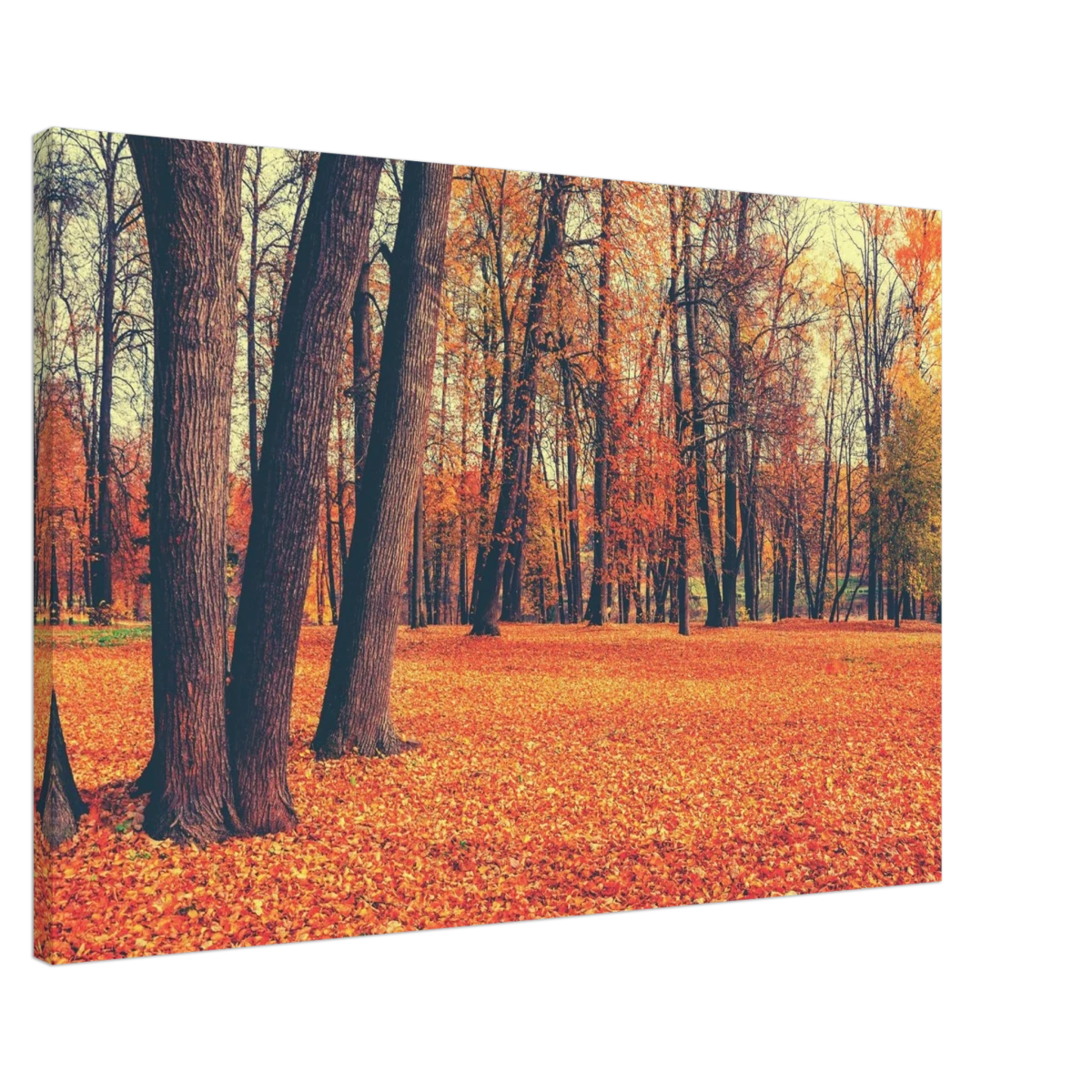 “Golden Silence in Autumn – A Tranquil Forest Escape” | Wall Art Print - Canvas - 60x90 cm / 24x36″ -