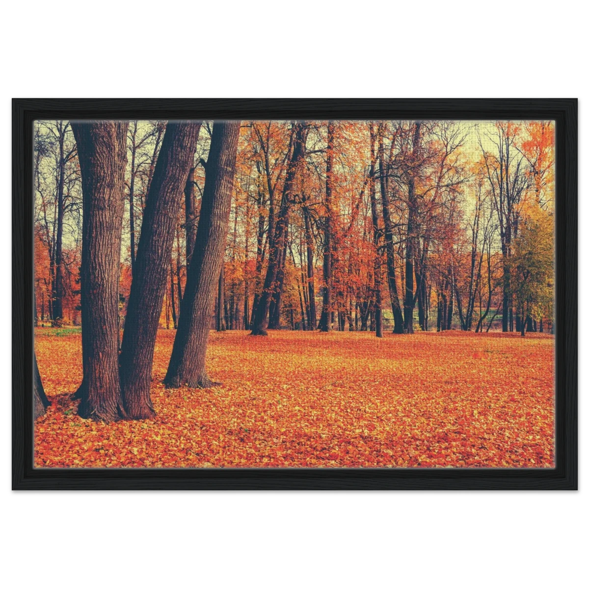 “Golden Silence in Autumn – A Tranquil Forest Escape” | Wall Art Print - Framed Canvas - 40x60 cm / 16x24″ - Black frame