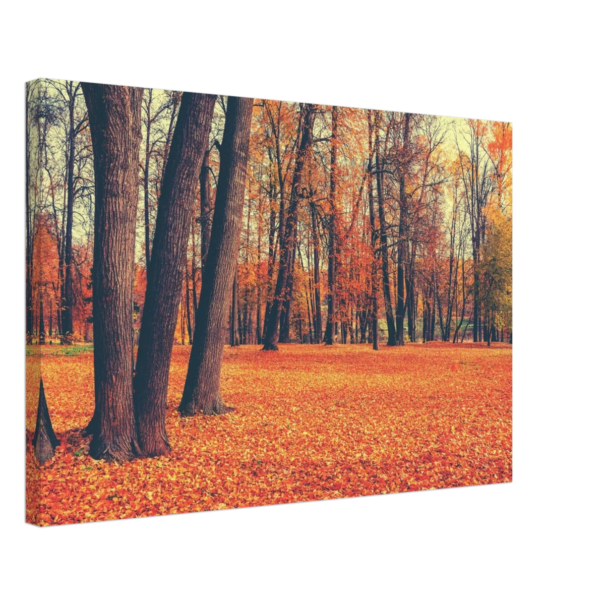 “Golden Silence in Autumn – A Tranquil Forest Escape” | Wall Art Print - Canvas - 40x60 cm / 16x24″ -