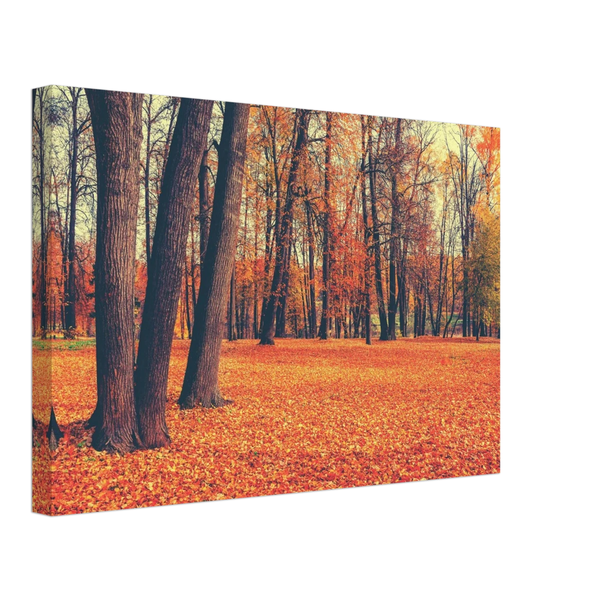 “Golden Silence in Autumn – A Tranquil Forest Escape” | Wall Art Print - Canvas - 30x45 cm / 12x18″ -