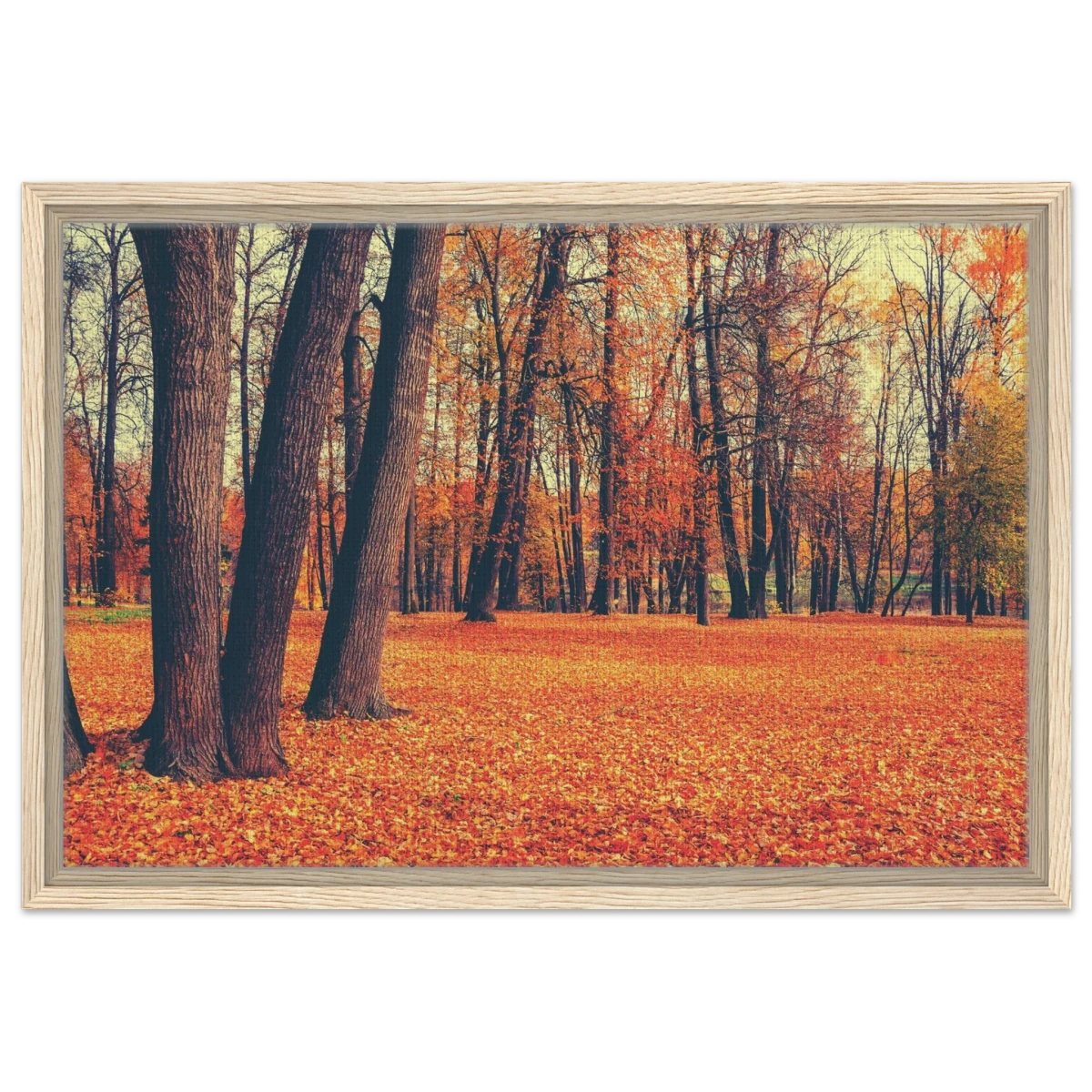 “Golden Silence in Autumn – A Tranquil Forest Escape” | Wall Art Print - Framed Canvas - 40x60 cm / 16x24″ - Wood frame