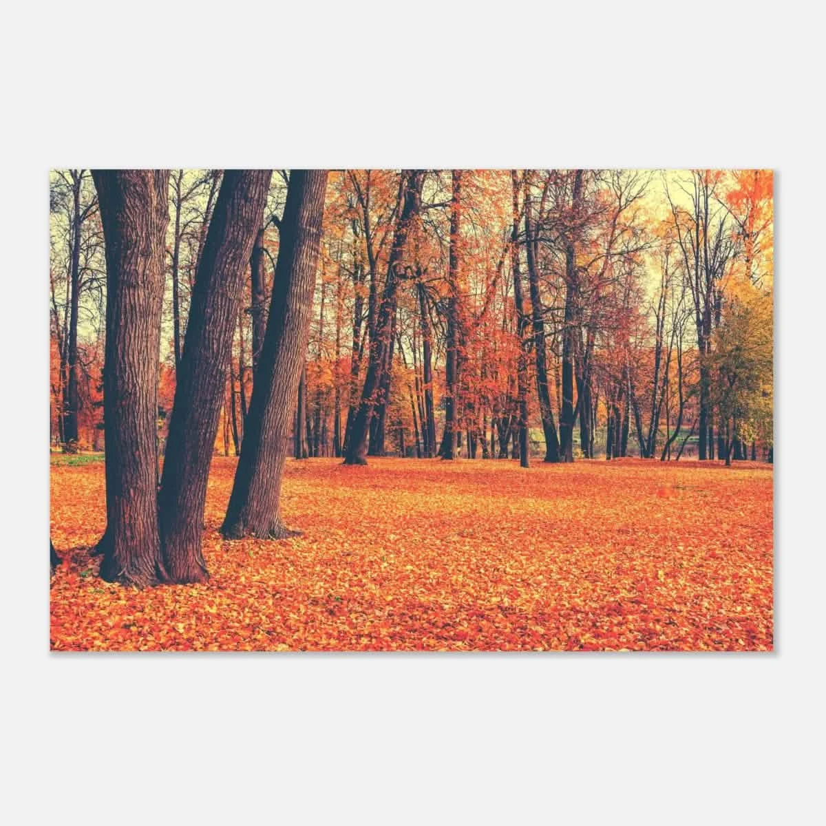 “Golden Silence in Autumn – A Tranquil Forest Escape” | Wall Art Print - Aluminum Print - 20x30 cm / 8x12″ -