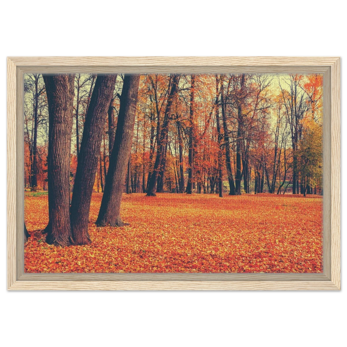 “Golden Silence in Autumn – A Tranquil Forest Escape” | Wall Art Print - Framed Canvas - 30x45 cm / 12x18″ - Wood frame