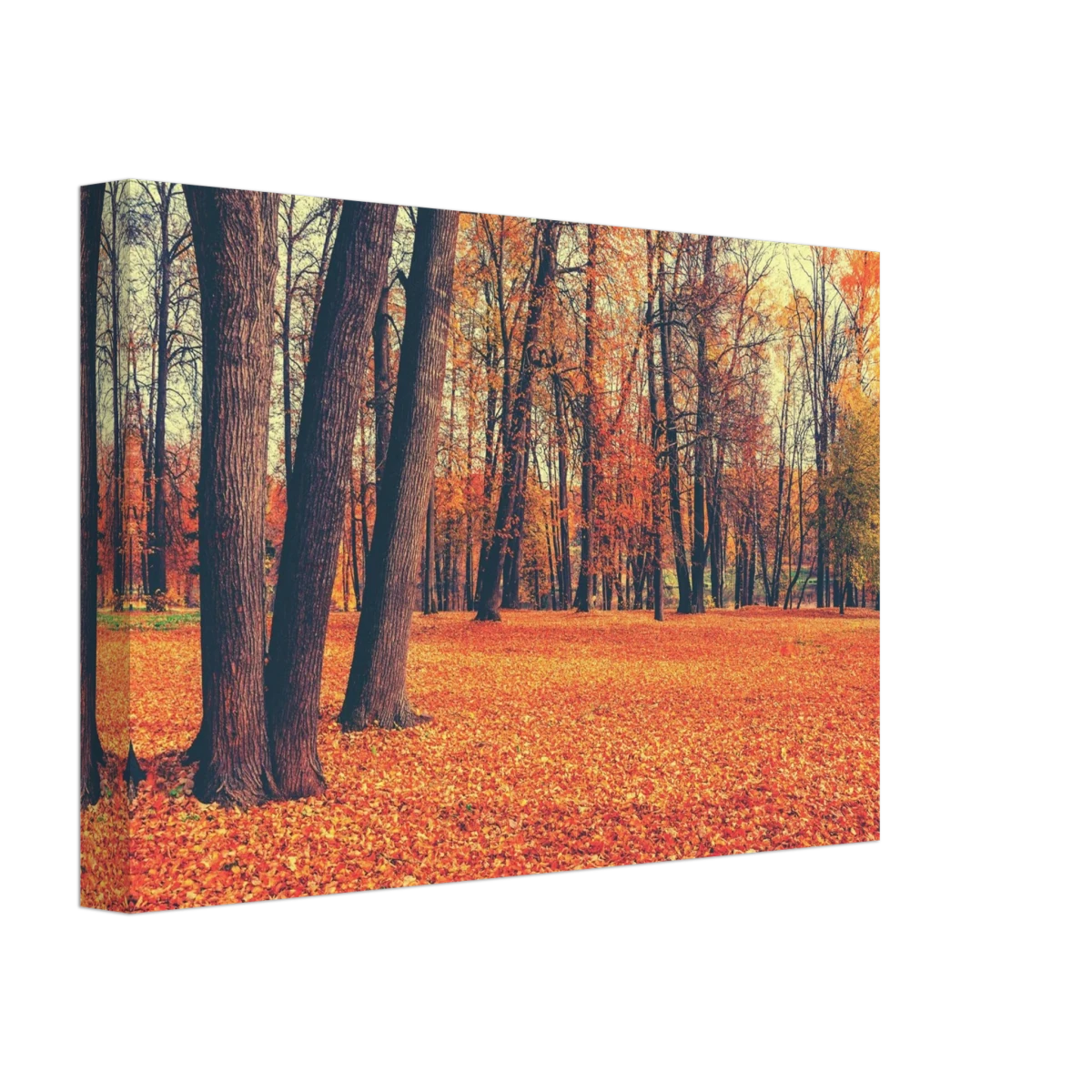 “Golden Silence in Autumn – A Tranquil Forest Escape” | Wall Art Print - Canvas - 20x30 cm / 8x12″ -