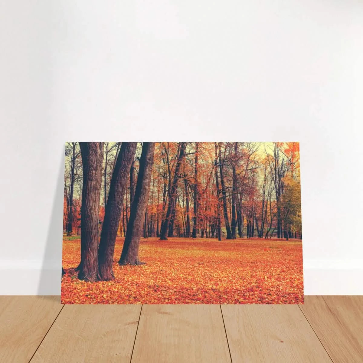 “Golden Silence in Autumn – A Tranquil Forest Escape” | Wall Art Print - Brushed Aluminum Print - 20x30 cm / 8x12″ -