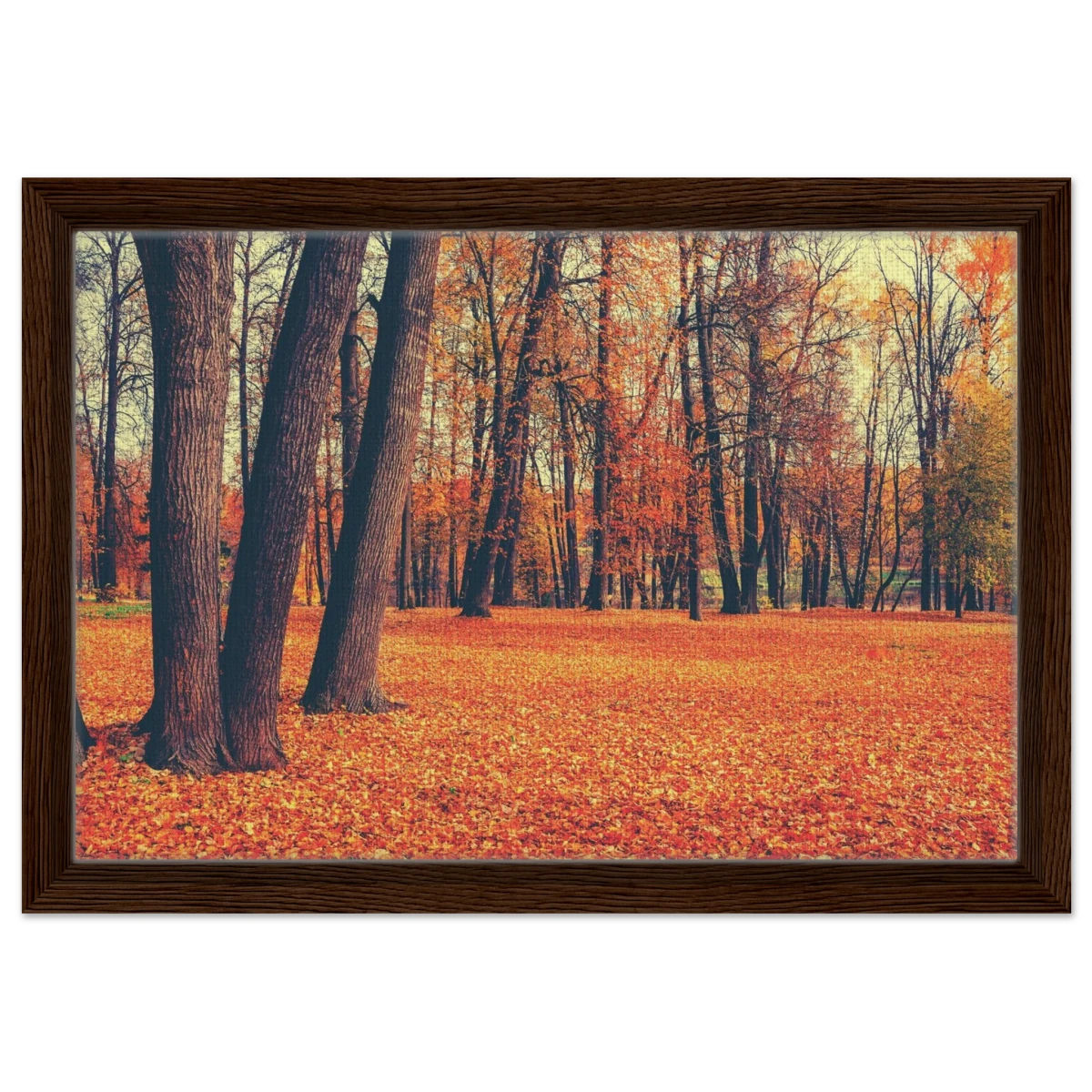 “Golden Silence in Autumn – A Tranquil Forest Escape” | Wall Art Print - Framed Canvas - 30x45 cm / 12x18″ - Dark wood frame