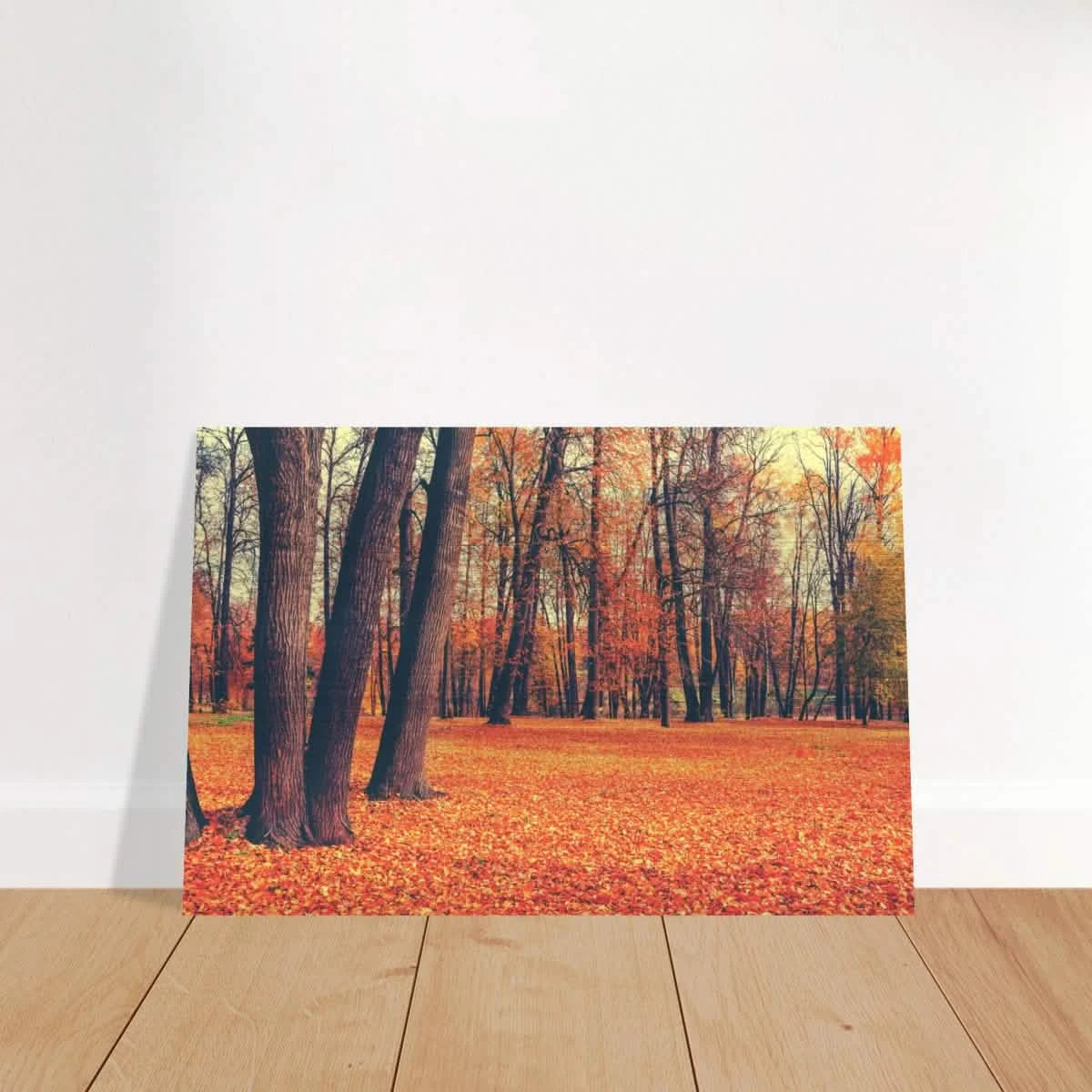 “Golden Silence in Autumn – A Tranquil Forest Escape” | Wall Art Print - Brushed Aluminum Print - 60x90 cm / 24x36″ -