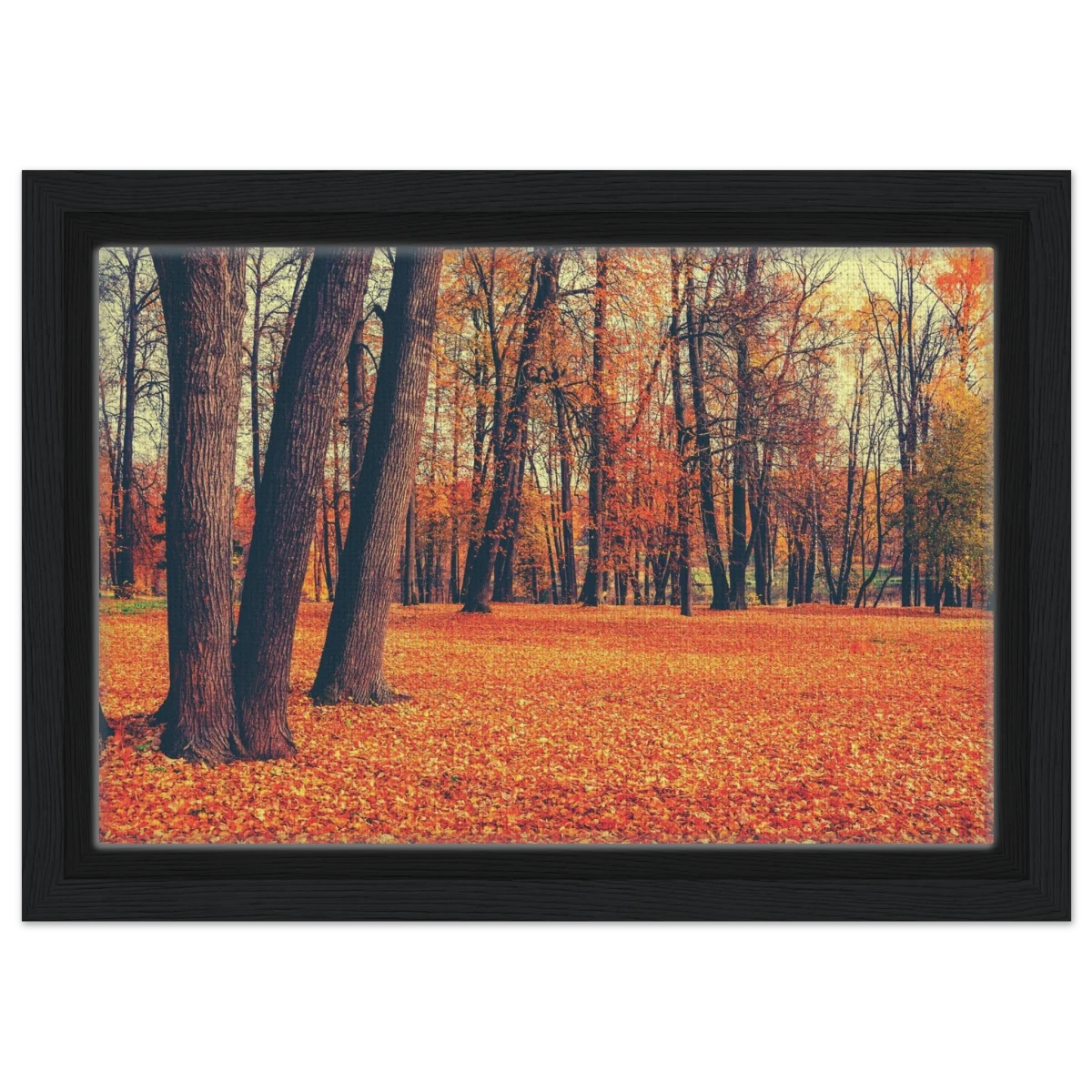 “Golden Silence in Autumn – A Tranquil Forest Escape” | Wall Art Print - Framed Canvas - 20x30 cm / 8x12″ - Black frame