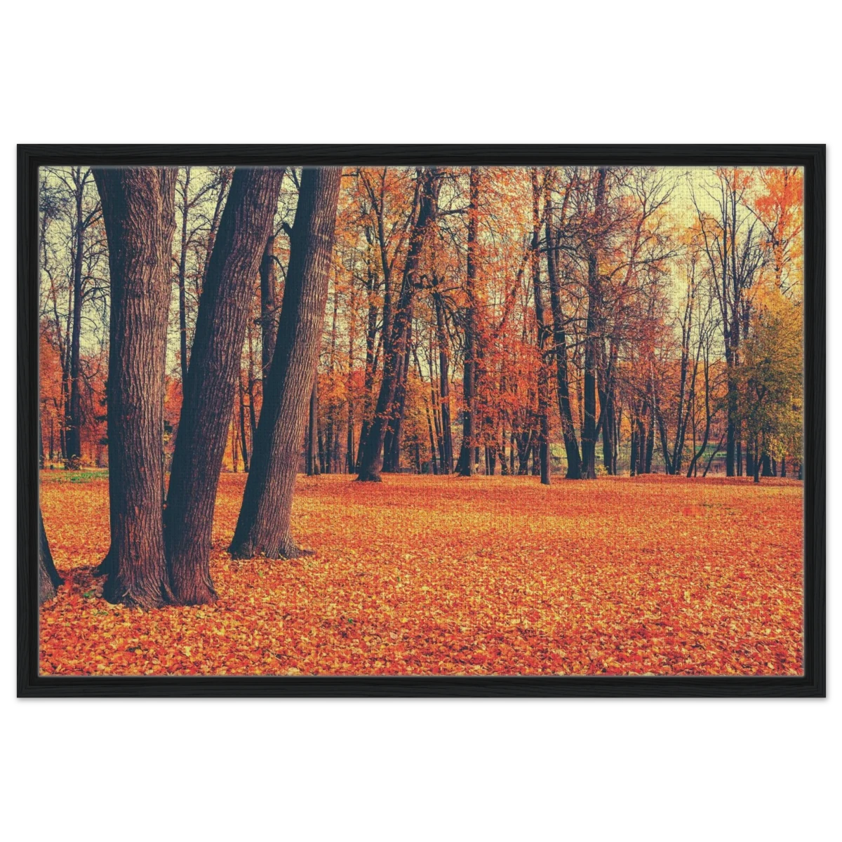 “Golden Silence in Autumn – A Tranquil Forest Escape” | Wall Art Print - Framed Canvas - 60x90 cm / 24x36″ - Black frame
