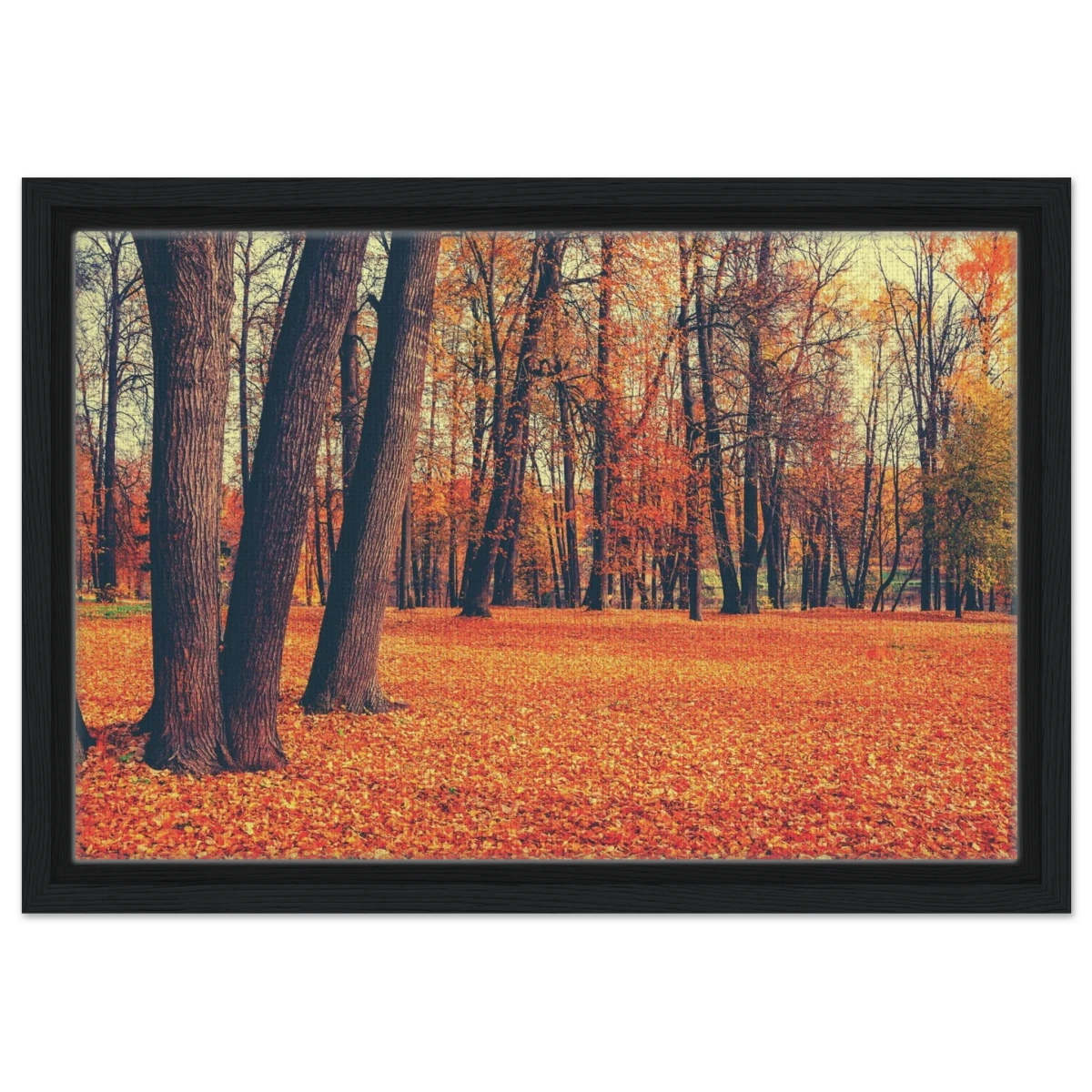 “Golden Silence in Autumn – A Tranquil Forest Escape” | Wall Art Print - Framed Canvas - 30x45 cm / 12x18″ - Black frame