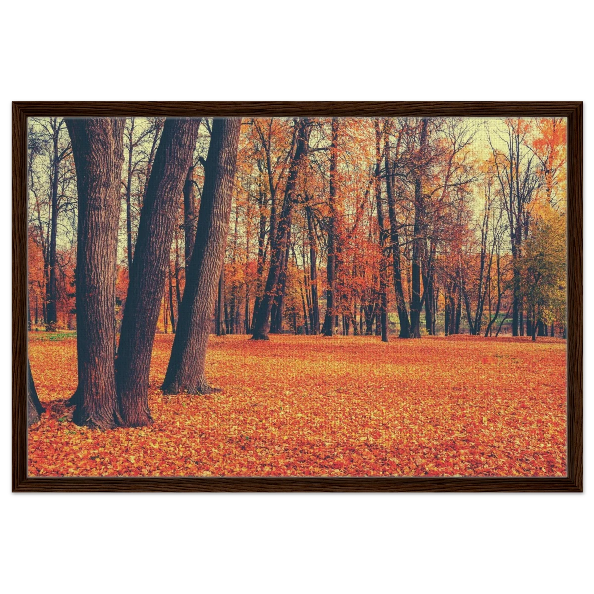 “Golden Silence in Autumn – A Tranquil Forest Escape” | Wall Art Print - Framed Canvas - 60x90 cm / 24x36″ - Dark wood frame