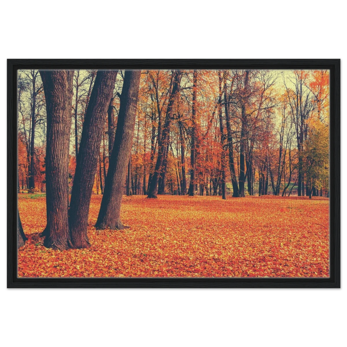 “Golden Silence in Autumn – A Tranquil Forest Escape” | Wall Art Print - Framed Canvas - 50x75 cm / 20x30″ - Black frame