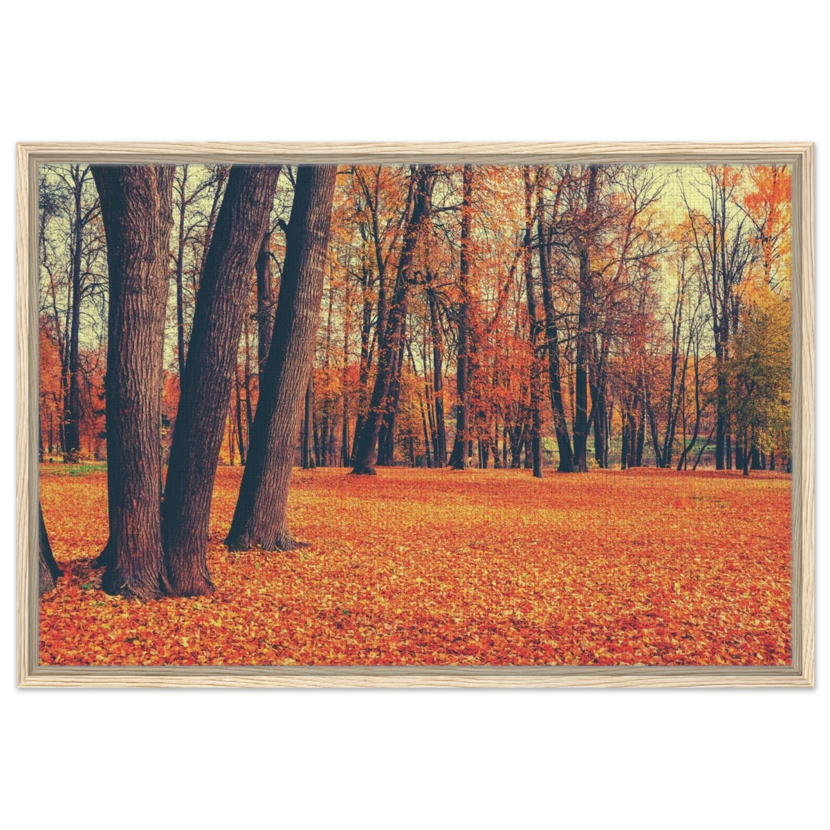 “Golden Silence in Autumn – A Tranquil Forest Escape” | Wall Art Print - Framed Canvas - 60x90 cm / 24x36″ - Wood frame