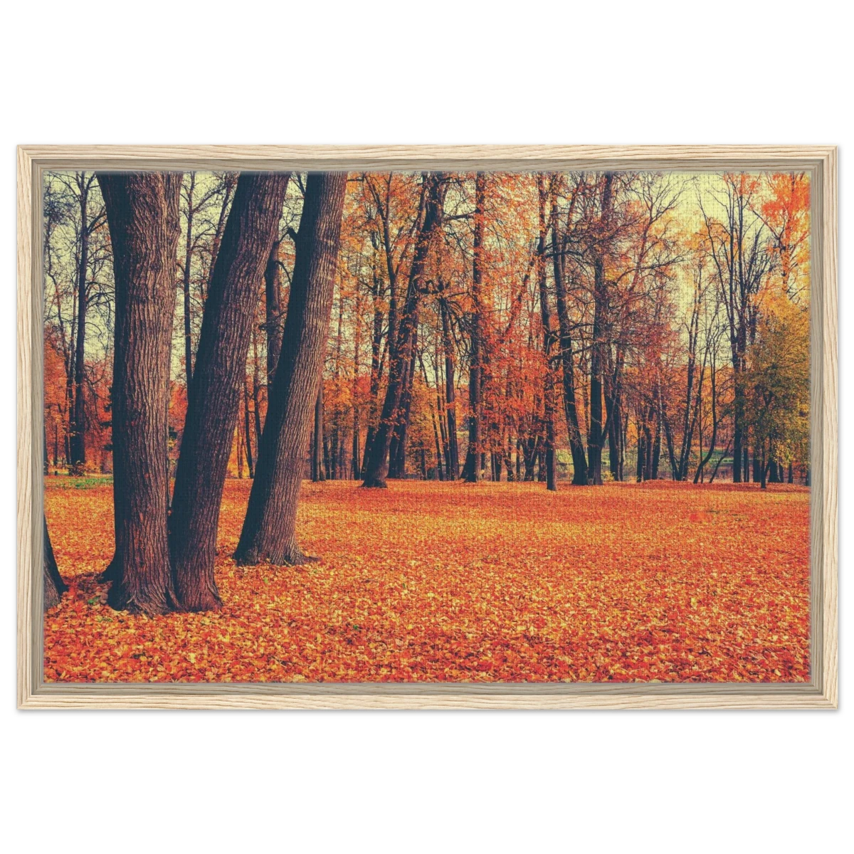 “Golden Silence in Autumn – A Tranquil Forest Escape” | Wall Art Print - Framed Canvas - 50x75 cm / 20x30″ - Wood frame