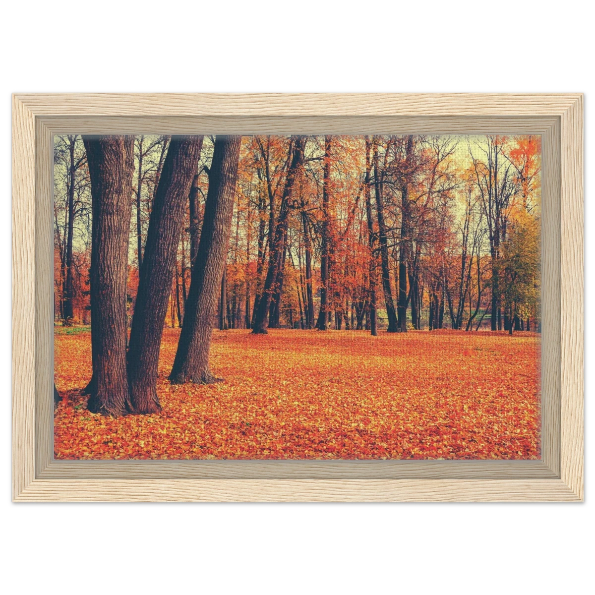 “Golden Silence in Autumn – A Tranquil Forest Escape” | Wall Art Print - Framed Canvas - 20x30 cm / 8x12″ - Wood frame