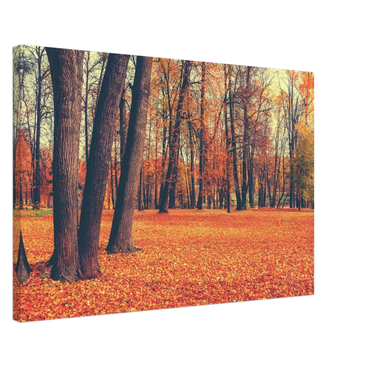 “Golden Silence in Autumn – A Tranquil Forest Escape” | Wall Art Print - Canvas - 50x75 cm / 20x30″ -