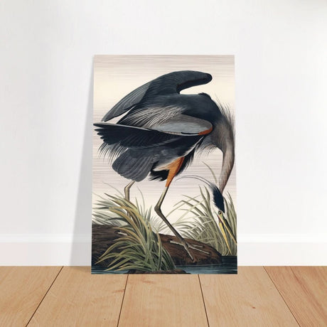 Great blue Heron by John James 1834 | wall Art Print - Brushed Aluminum Print - 30x45 cm / 12x18″ -