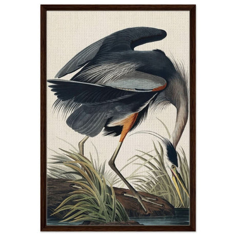 Great blue Heron by John James 1834 | wall Art Print - Framed Canvas - 60x90 cm / 24x36″ - Dark wood frame
