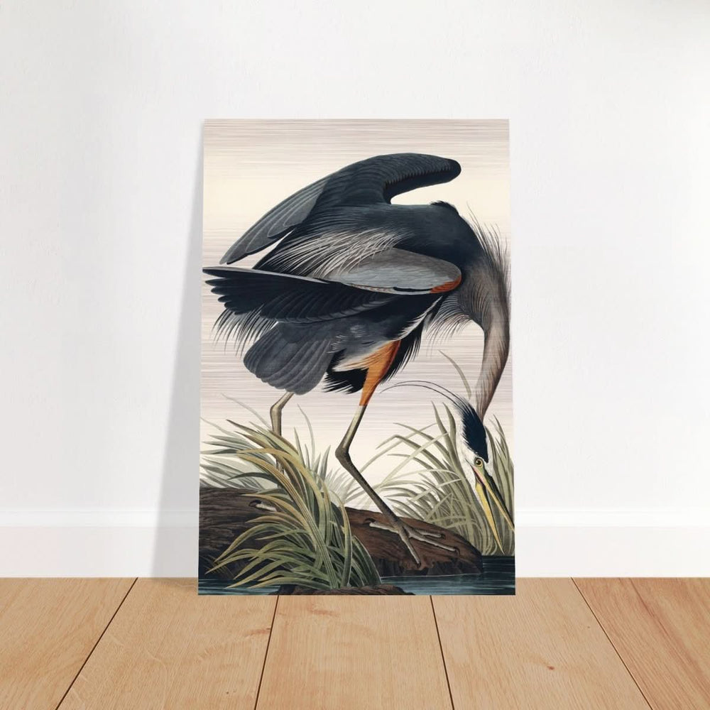 Great blue Heron by John James 1834 | wall Art Print - Brushed Aluminum Print - 40x60 cm / 16x24″ -