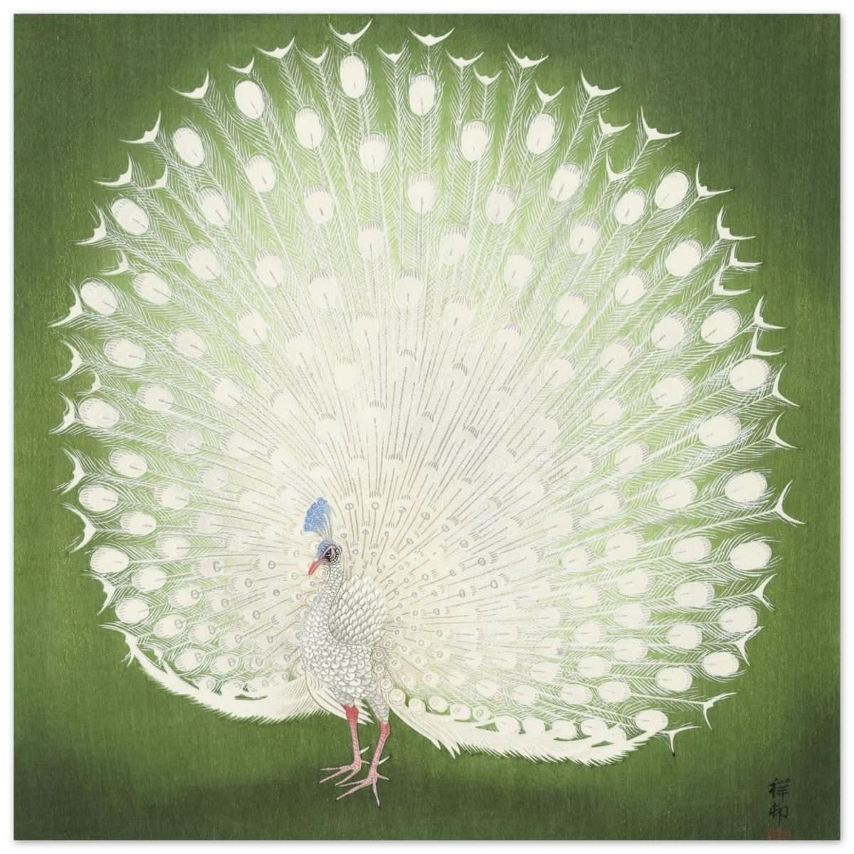 Green Peacock by Ohara Koson | Wall art Print - 40x40 cm / 16x16″ - Aluminum Print -