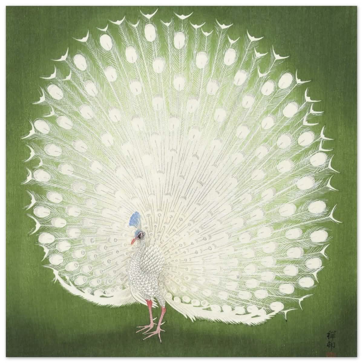 Green Peacock by Ohara Koson | Wall art Print - 40x40 cm / 16x16″ - Aluminum Print -