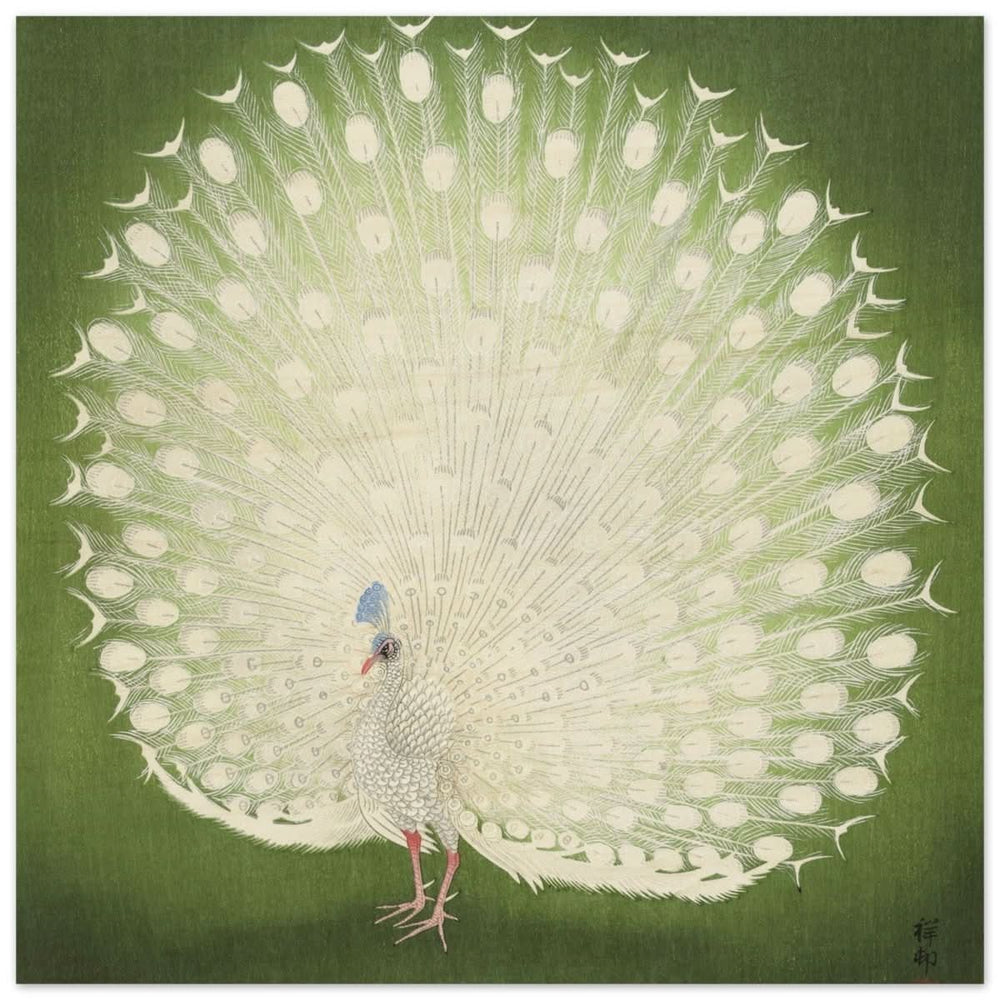 Green Peacock by Ohara Koson | Wall art Print - 50x50 cm / 20x20″ - Wood Prints -