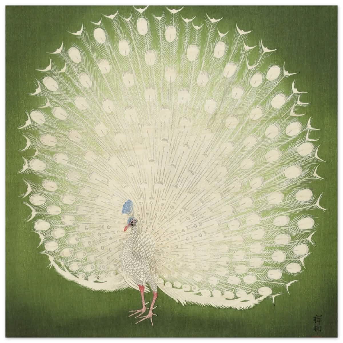 Green Peacock by Ohara Koson | Wall art Print - 50x50 cm / 20x20″ - Wood Prints -