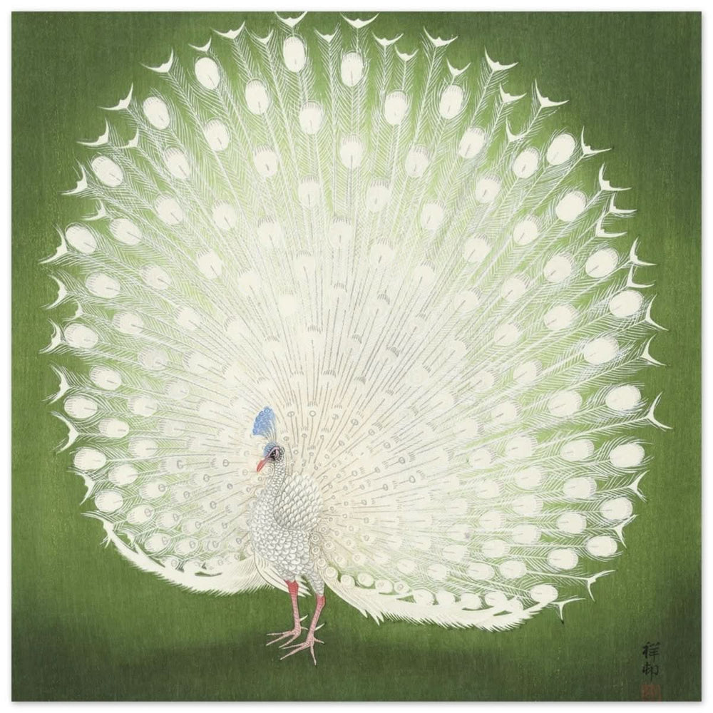 Green Peacock by Ohara Koson | Wall art Print - 60x60 cm / 24x24″ - Aluminum Print -