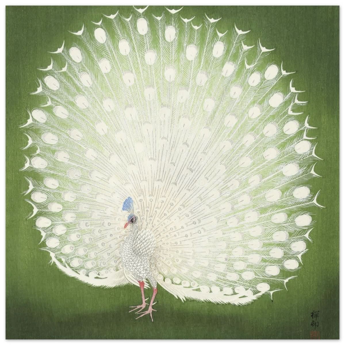 Green Peacock by Ohara Koson | Wall art Print - 60x60 cm / 24x24″ - Aluminum Print -