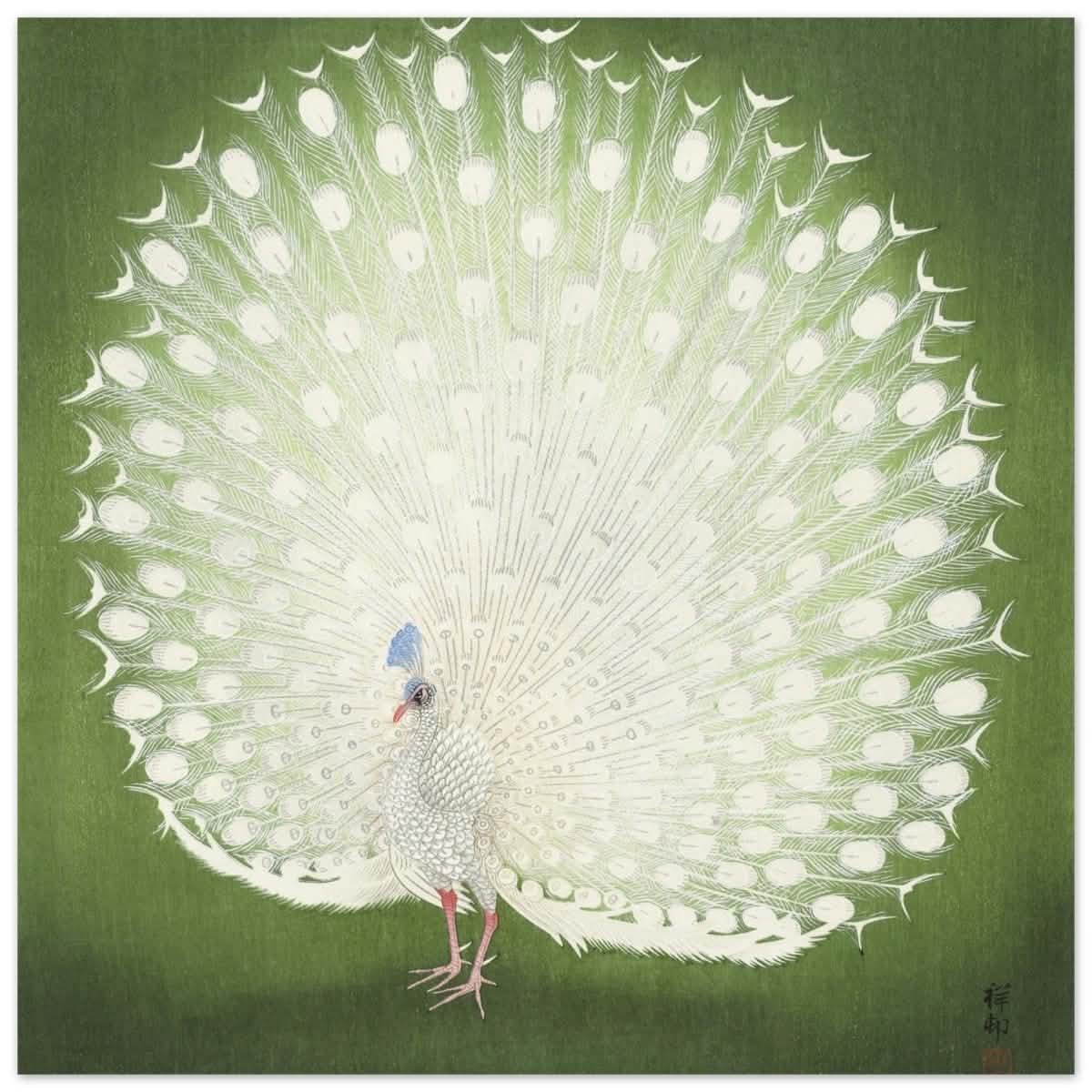 Green Peacock by Ohara Koson | Wall art Print - 60x60 cm / 24x24″ - Aluminum Print -