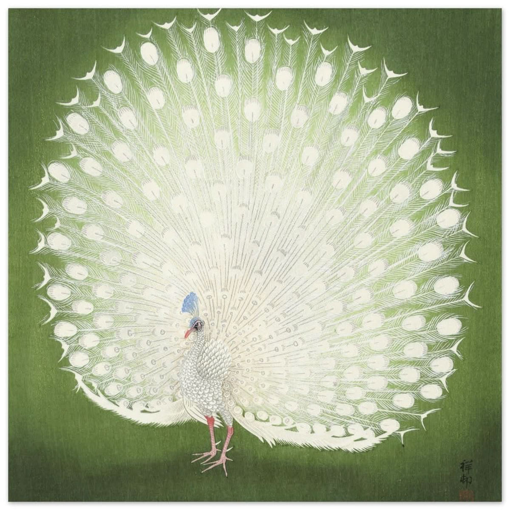 Green Peacock by Ohara Koson | Wall art Print - 30x30 cm / 12x12″ - Aluminum Print -