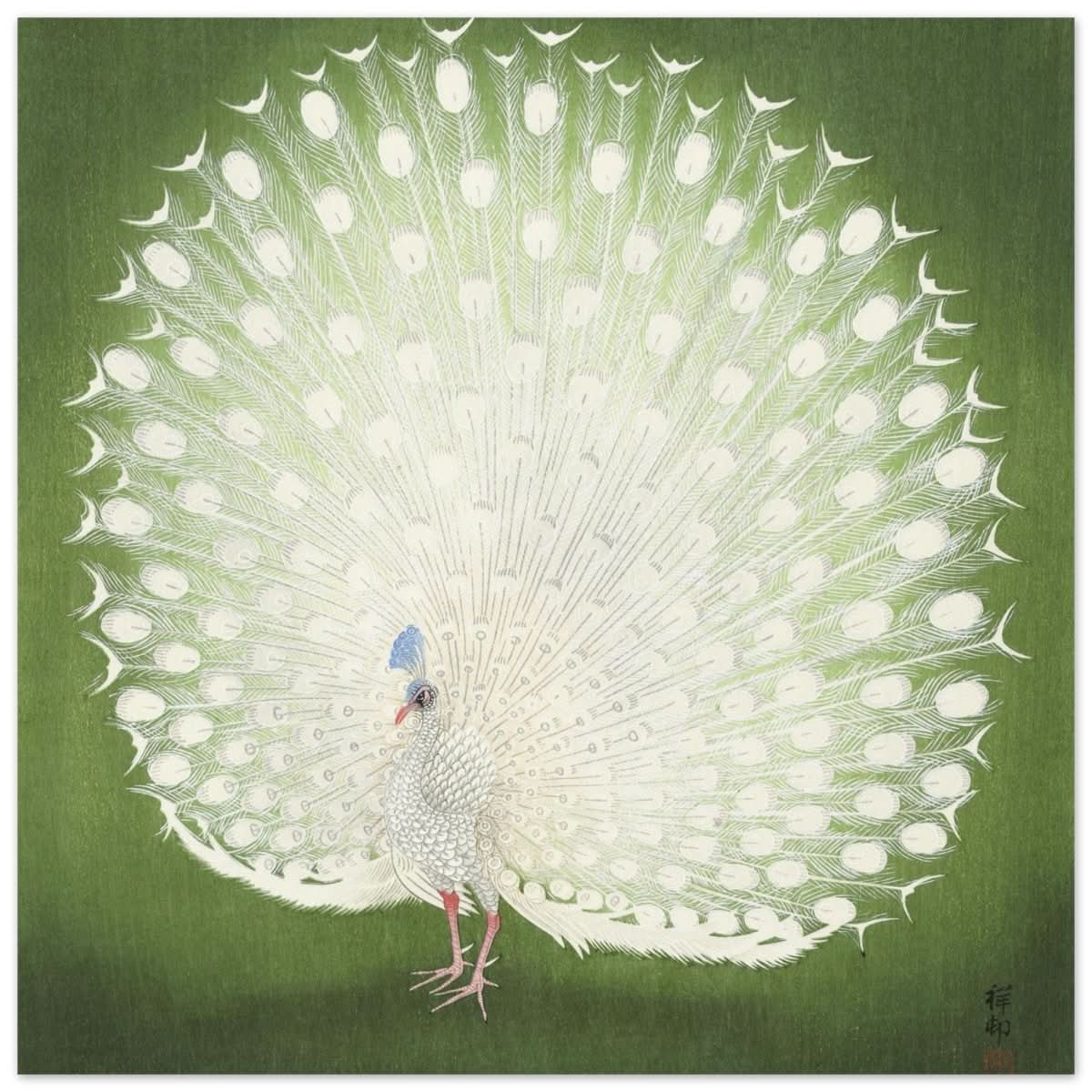 Green Peacock by Ohara Koson | Wall art Print - 30x30 cm / 12x12″ - Aluminum Print -