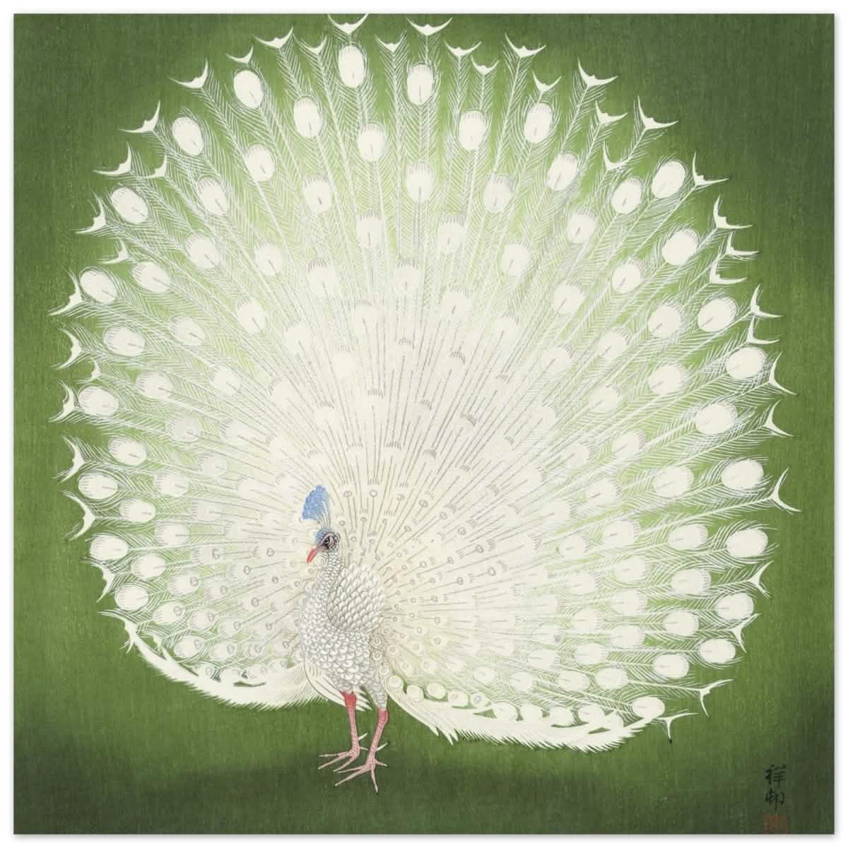 Green Peacock by Ohara Koson | Wall art Print - 30x30 cm / 12x12″ - Aluminum Print -