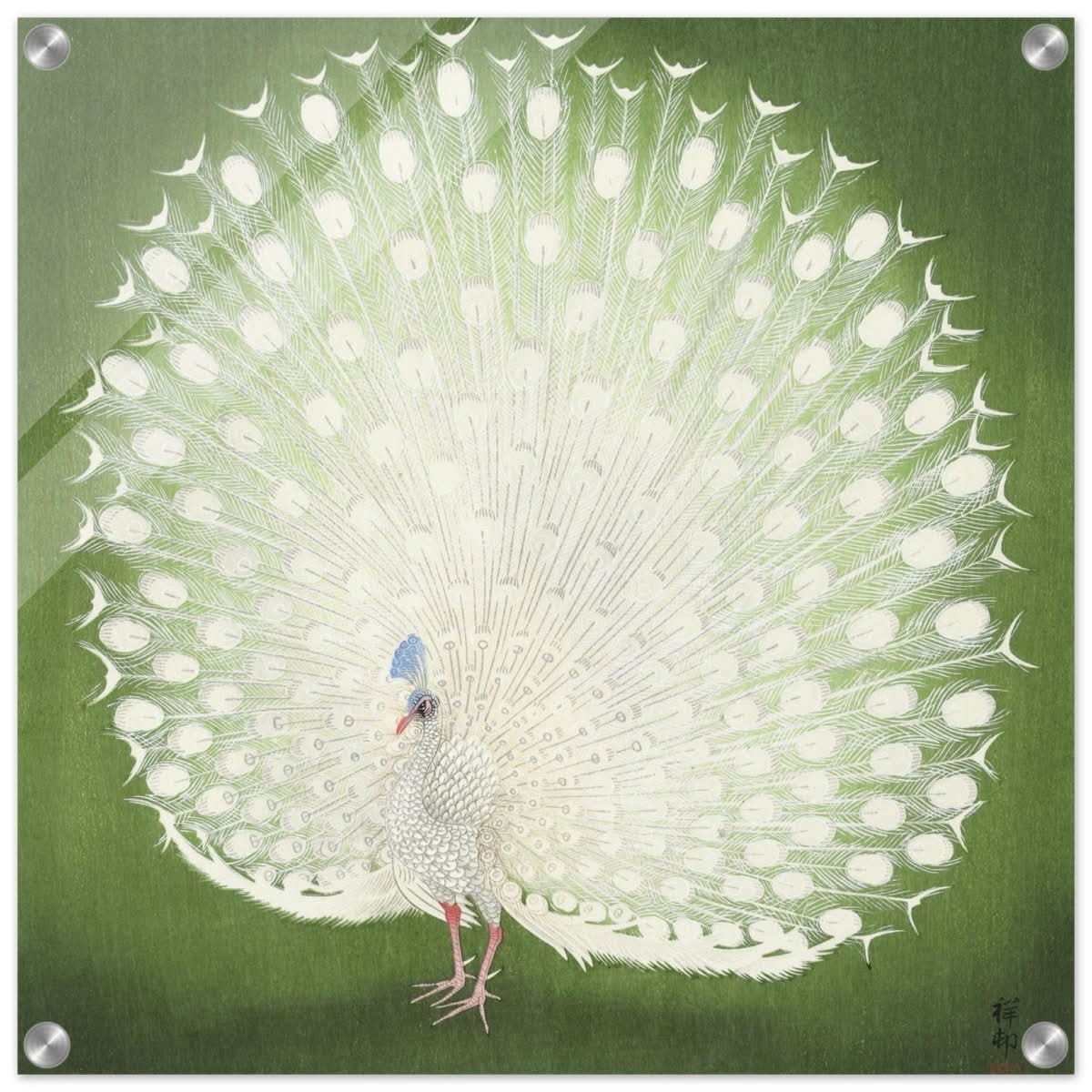 Green Peacock by Ohara Koson | Wall art Print - 50x50 cm / 20x20″ - Acrylic Print -
