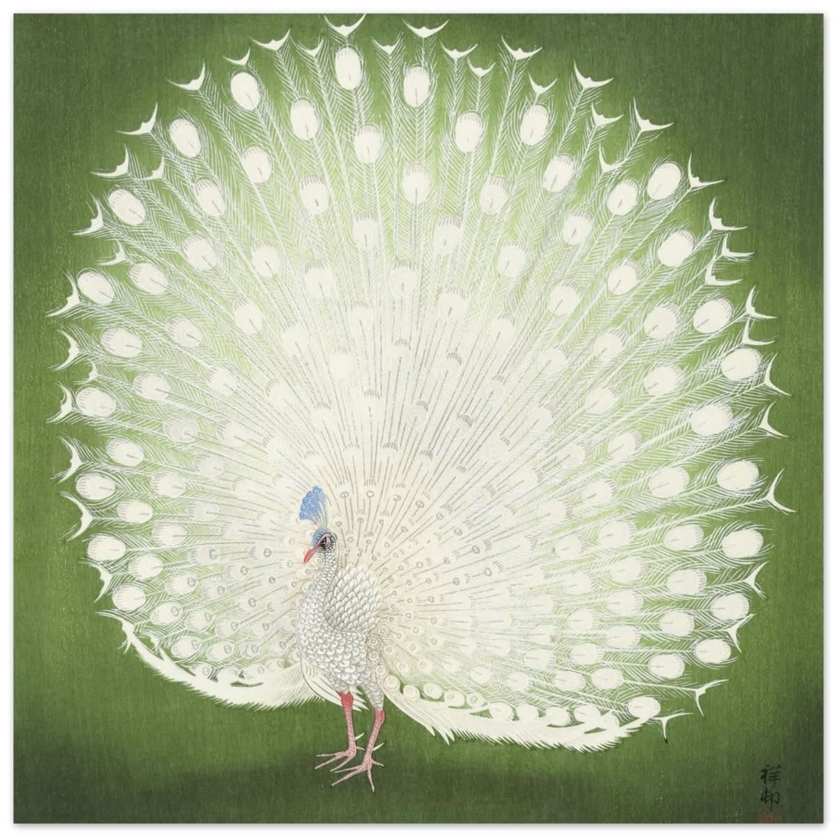 Green Peacock by Ohara Koson | Wall art Print - 50x50 cm / 20x20″ - Aluminum Print -