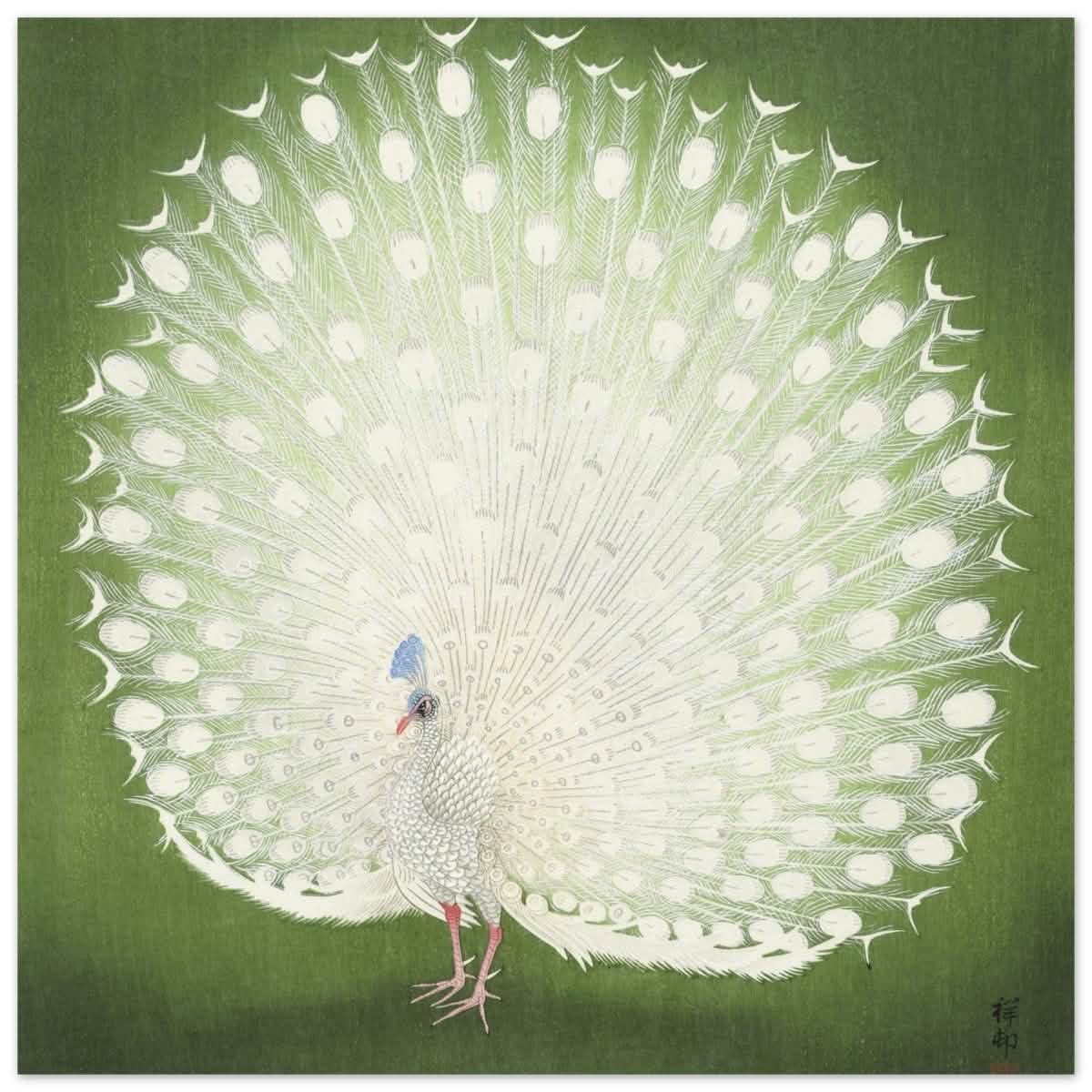 Green Peacock by Ohara Koson | Wall art Print - 50x50 cm / 20x20″ - Aluminum Print -
