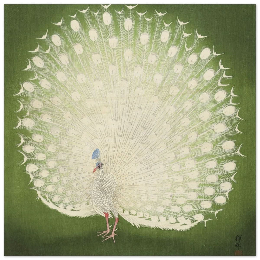 Green Peacock by Ohara Koson | Wall art Print - 60x60 cm / 24x24″ - Wood Prints -
