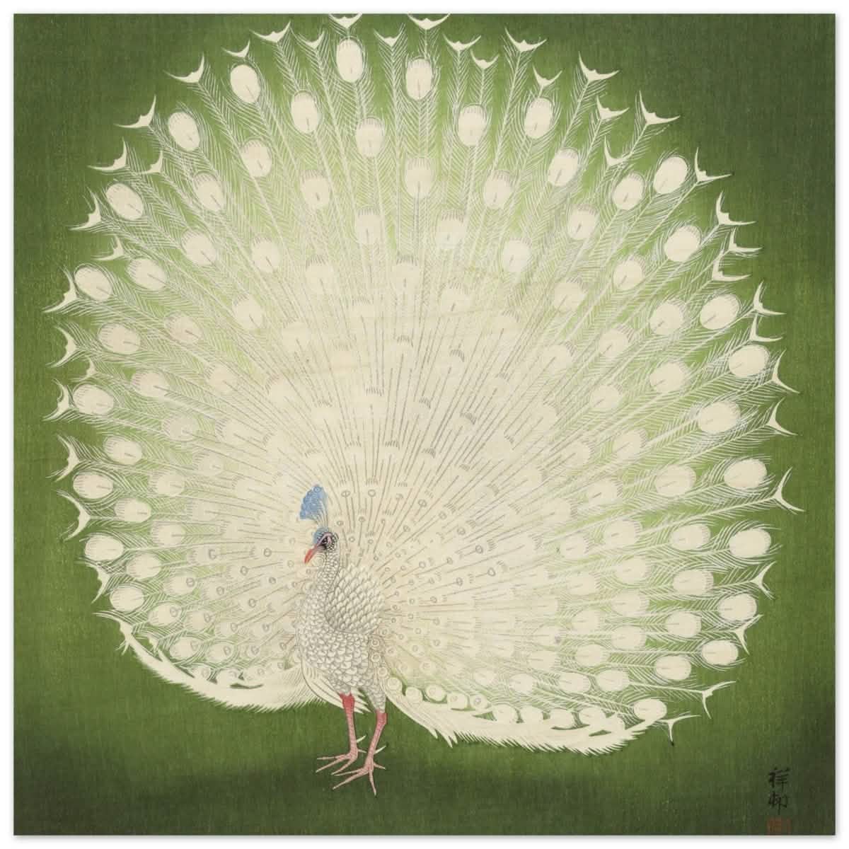 Green Peacock by Ohara Koson | Wall art Print - 60x60 cm / 24x24″ - Wood Prints -