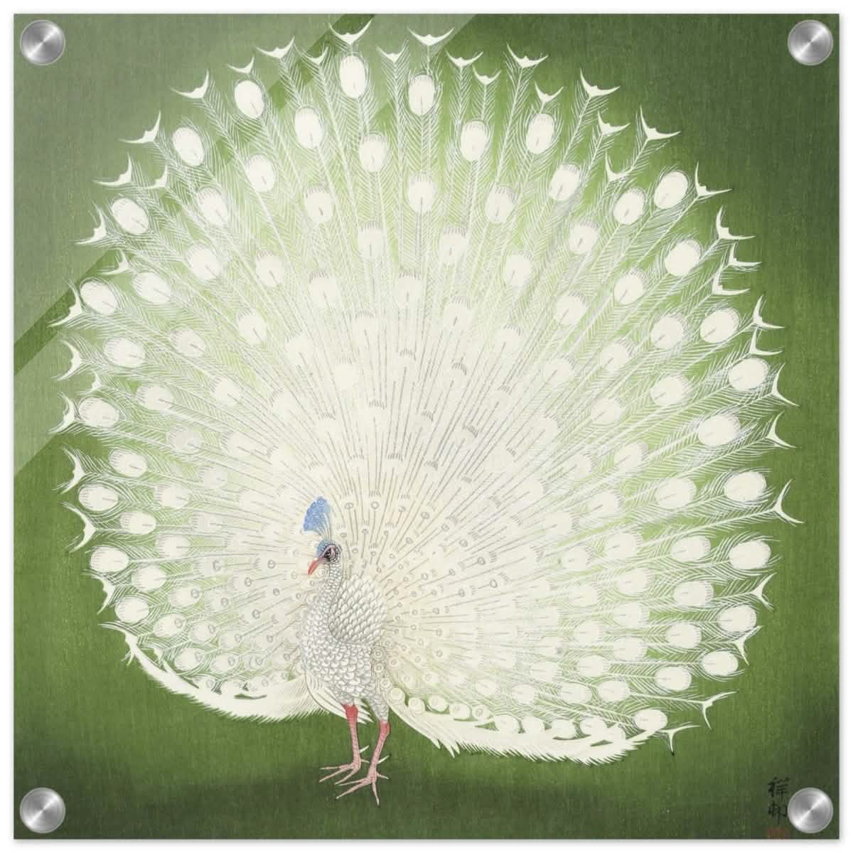 Green Peacock by Ohara Koson | Wall art Print - 40x40 cm / 16x16″ - Acrylic Print -