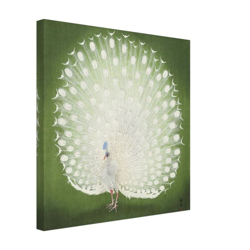 Green Peacock by Ohara Koson | Wall art Print - 40x40 cm / 16x16″ - Canvas -
