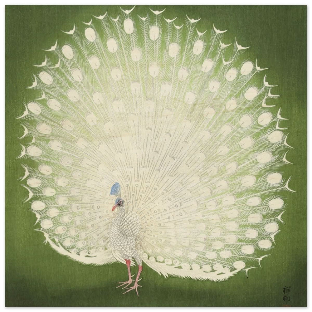 Green Peacock by Ohara Koson | Wall art Print - 40x40 cm / 16x16″ - Wood Prints -