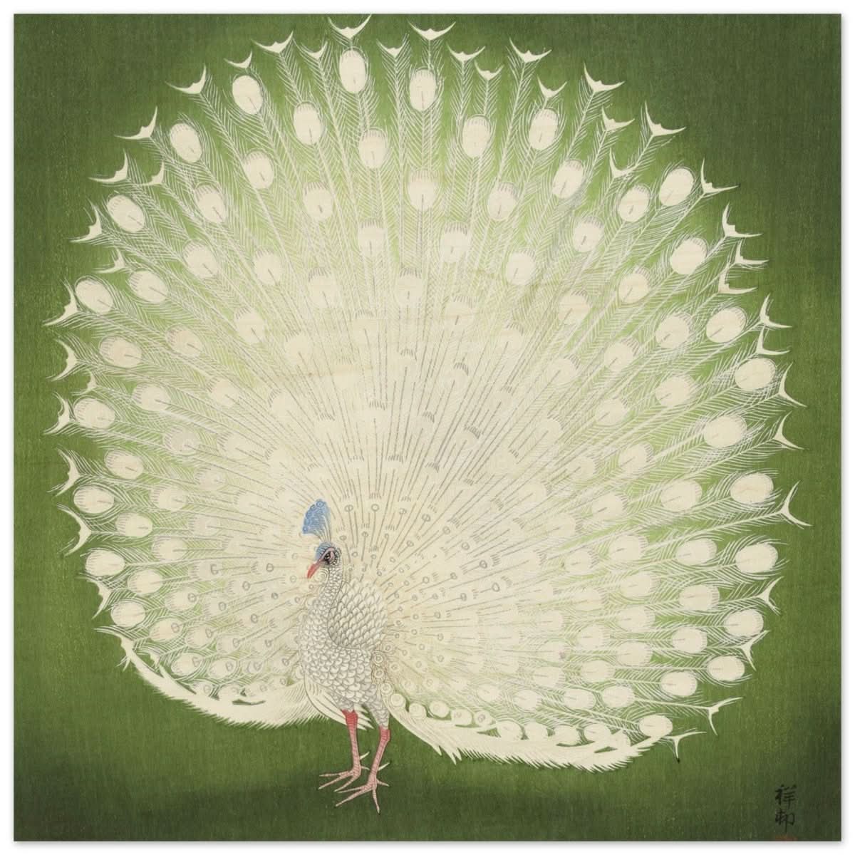 Green Peacock by Ohara Koson | Wall art Print - 40x40 cm / 16x16″ - Wood Prints -