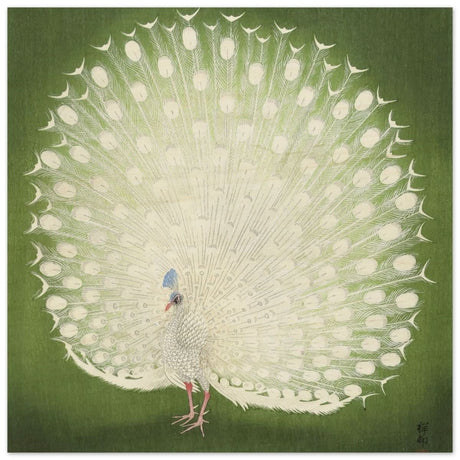 Green Peacock by Ohara Koson | Wall art Print - 40x40 cm / 16x16″ - Wood Prints -