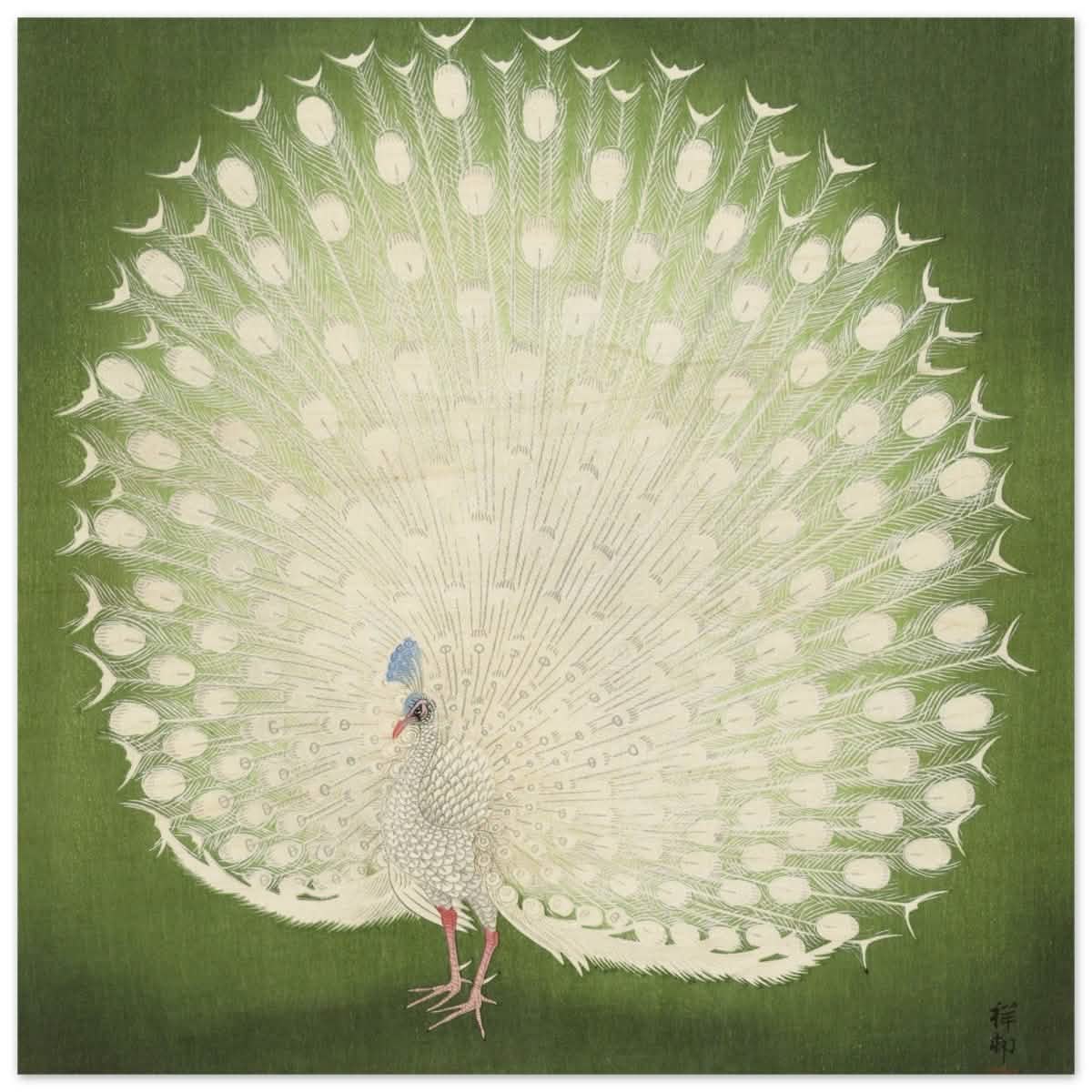 Green Peacock by Ohara Koson | Wall art Print - 40x40 cm / 16x16″ - Wood Prints -