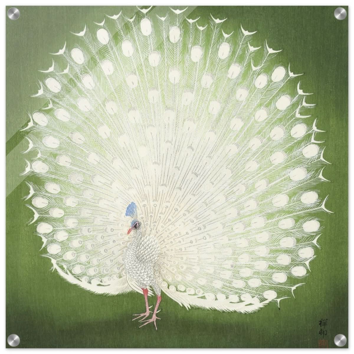 Green Peacock by Ohara Koson | Wall art Print - 60x60 cm / 24x24″ - Acrylic Print -