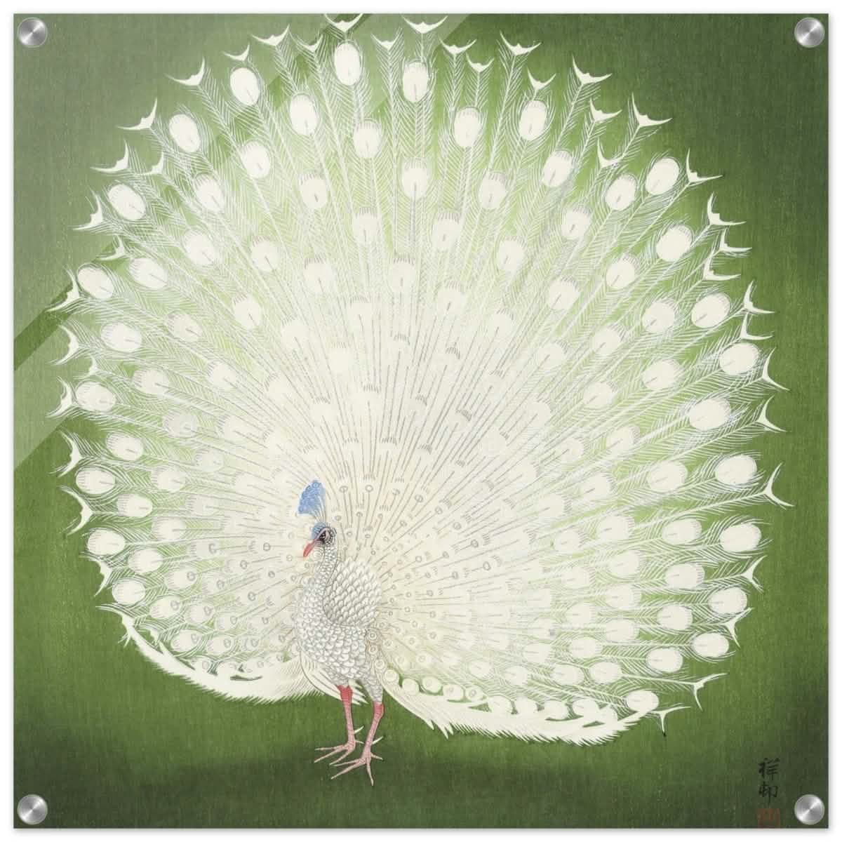 Green Peacock by Ohara Koson | Wall art Print - 60x60 cm / 24x24″ - Acrylic Print -