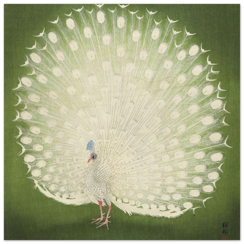 Green Peacock by Ohara Koson | Wall art Print - 30x30 cm / 12x12″ - Wood Prints -