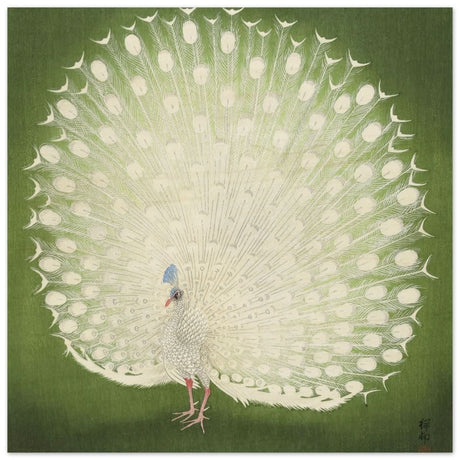 Green Peacock by Ohara Koson | Wall art Print - 30x30 cm / 12x12″ - Wood Prints -