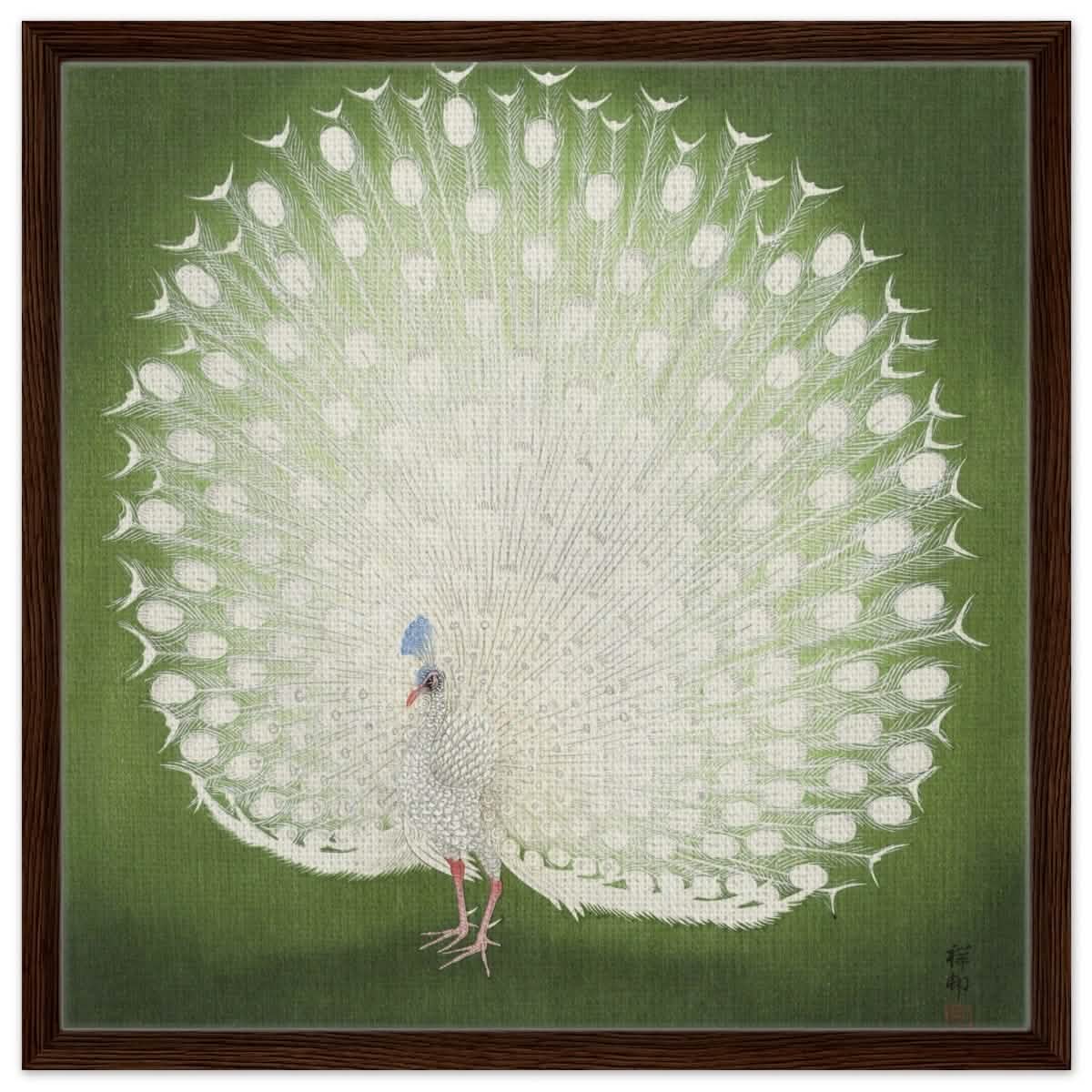 Green Peacock by Ohara Koson | Wall art Print - 60x60 cm / 24x24″ - Framed Canvas - Dark wood frame